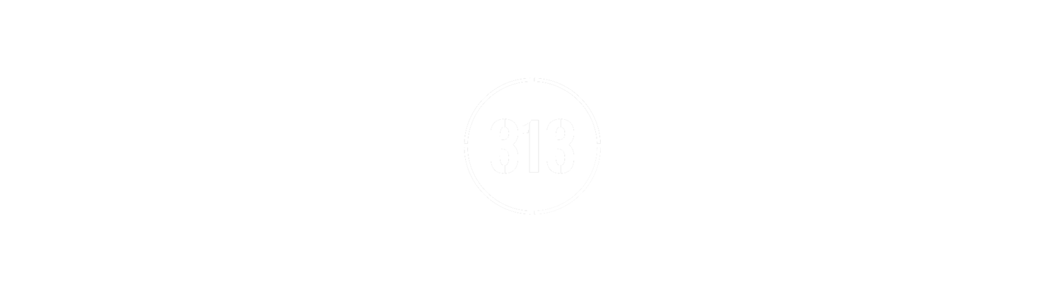 313 Fitness fitness club